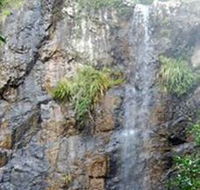 Wedding Bells Forest Drive - Accommodation QLD