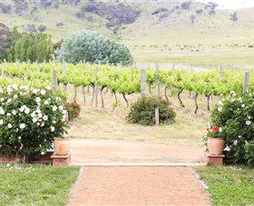 Brindabella Hills Winery - Accommodation QLD 0