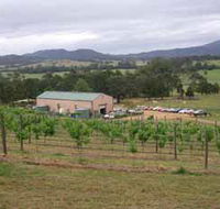 Villa d Esta Vineyard - Accommodation QLD