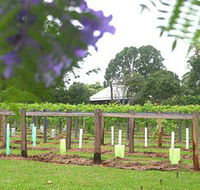 Douglas Vale Historic Homestead  Vineyard - Accommodation QLD
