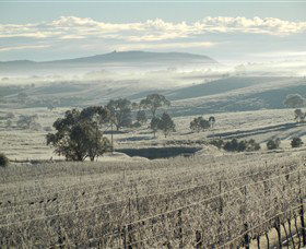 Kurrajong Downs Wines Vineyard - Accommodation QLD 1