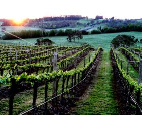 Philip Shaw Wines - Accommodation QLD 1