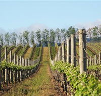 Philip Shaw Wines - Accommodation QLD