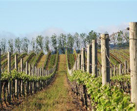 Philip Shaw Wines - Accommodation QLD 0