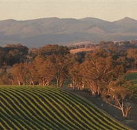 Angullong Wines - Accommodation QLD