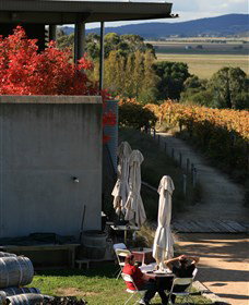 Lerida Estate - Accommodation QLD 2