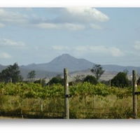 Ironbark Ridge Vineyard - Accommodation QLD