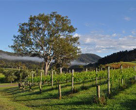 Sarabah Estate Vineyard - Accommodation QLD 1