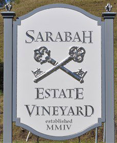 Sarabah Estate Vineyard - Accommodation QLD 3