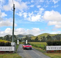Sarabah Estate Vineyard - Accommodation QLD