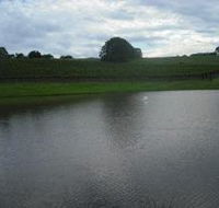 Vintners Secret Vineyard Cellar Door and Cafe - Accommodation QLD