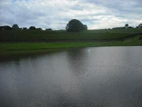 Vintners Secret Vineyard, Cellar Door And Cafe - Accommodation QLD 0