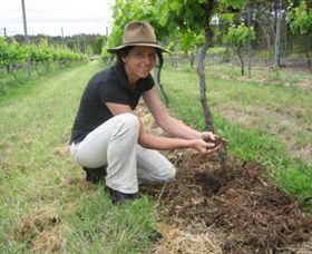 Twisted Gum Wines - Accommodation QLD 2