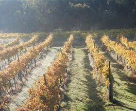 Twisted Gum Wines - Accommodation QLD 1