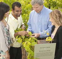 Jacob's Creek Vineyard Tour - Accommodation QLD