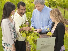 Jacob's Creek Vineyard Tour - Accommodation QLD 0