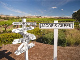 Jacob's Creek Vineyard Tour - Accommodation QLD 1