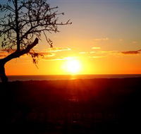 Rocky Ridge Vineyard and Cellar Door - Accommodation QLD