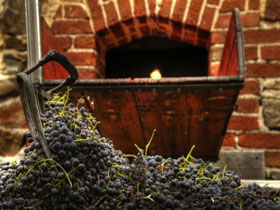 Rockford Wines - Accommodation QLD 2
