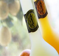 Ambra Limoncello - Accommodation QLD