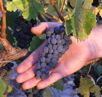 Eagles Rise Wine - Accommodation QLD