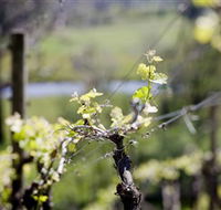 Galli Estate Winery - Accommodation QLD
