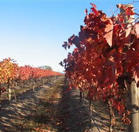 Kooyonga Creek Wines - Accommodation QLD