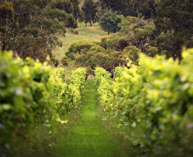 Glenhope East ACT Accommodation QLD