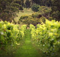 Merindoc Cafe and Cellar Door - Accommodation QLD
