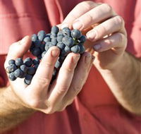Brown Magpie Wines - Accommodation QLD