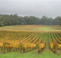 Boat O'Craigo Wines - Accommodation QLD