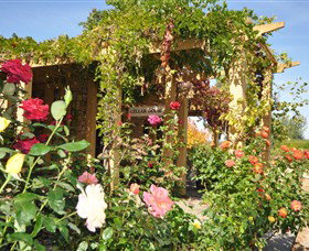 Garners Heritage Wines - Accommodation QLD 1