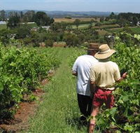 Sir Paz Estate - Accommodation QLD