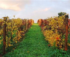 Sir Paz Estate - Accommodation QLD 2