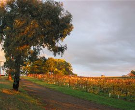 Sir Paz Estate - Accommodation QLD 3