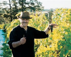 Sir Paz Estate - Accommodation QLD 1