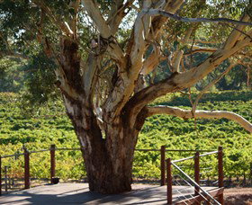 Upper Reach Winery And Cellar Door - Accommodation QLD 1