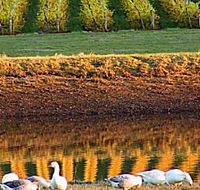 Pipers Brook Vineyard - Accommodation QLD