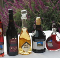 Hartzview Vineyard Heritage Pickers Hut Village - Accommodation QLD