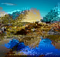 Loira Vines - Accommodation QLD