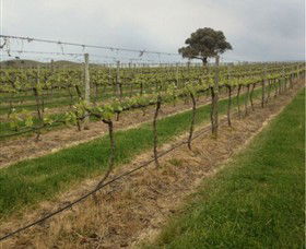 Indigo Vineyard - Accommodation QLD 1