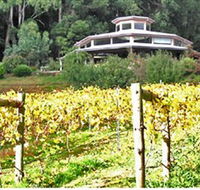 Peveril Vineyard/Beechy Berries - Accommodation QLD