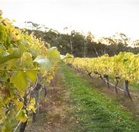 Harcourt Valley Vineyards - Accommodation QLD