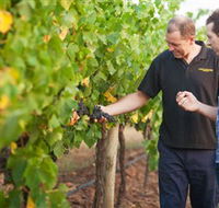 Fratin Brothers Vineyard - Accommodation QLD