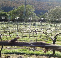 Three Willows Vineyard - Accommodation QLD