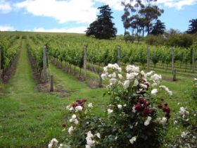 Glenloth East ACT Accommodation QLD