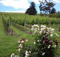 Pembroke Estate Vineyard - Accommodation QLD
