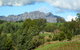 Lake Barrington Vineyard - thumb 0