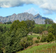 Lake Barrington Vineyard - Accommodation QLD