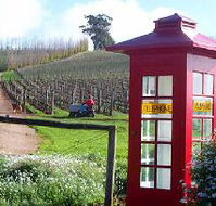 Dalrymple Vineyards - Accommodation QLD
